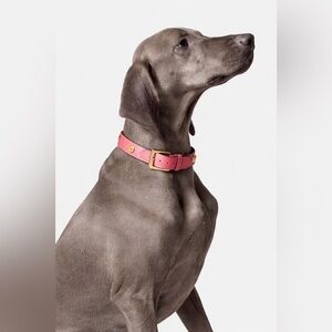 Versace Icon Pet Leather Collar in Fuchsia Pink - Medium NWT Dustbag
